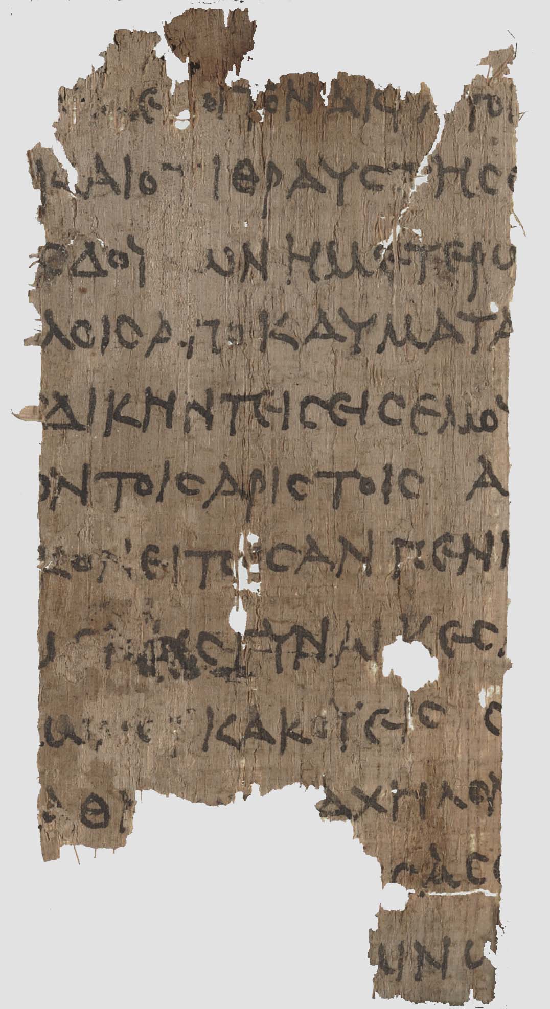 papyrus photo